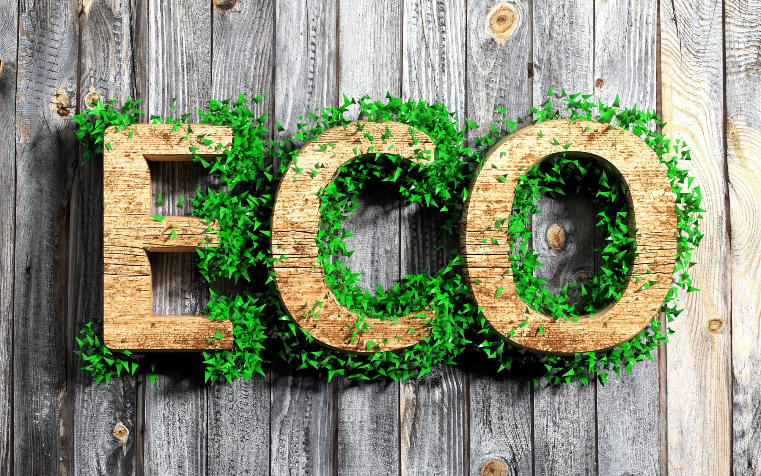 Eco-Friendly Packaging: Masa Depan Bisnis yang Berkelanjutan dan Bertanggung Jawab